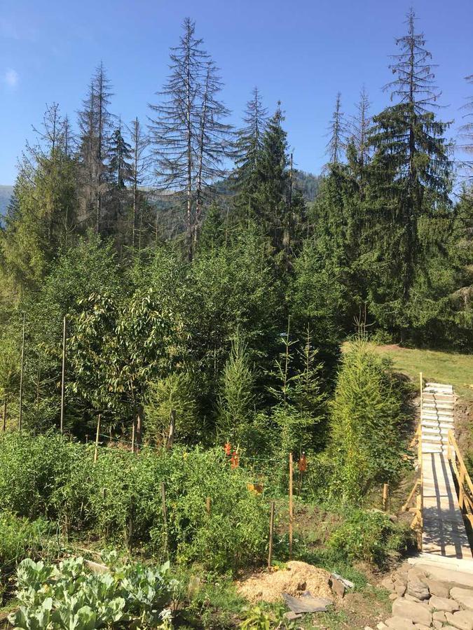 Готель Wooddream Воловець Екстер'єр фото